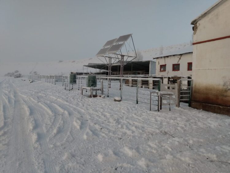 Antonio y María Victoria resisten en la Patagonia profunda: Cuando el turismo rural es el manotazo para no largar todo