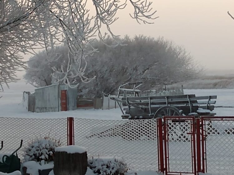 Antonio y María Victoria resisten en la Patagonia profunda: Cuando el turismo rural es el manotazo para no largar todo