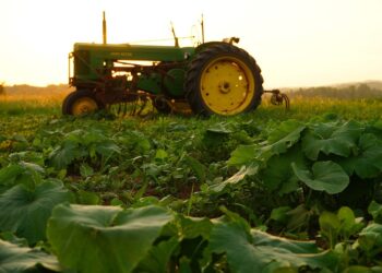 Europa orienta 35% de sus subsidios hacia una agricultura cuidadosa del medio ambiente, pero para Greta no es suficiente