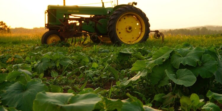 Europa orienta 35% de sus subsidios hacia una agricultura cuidadosa del medio ambiente, pero para Greta no es suficiente