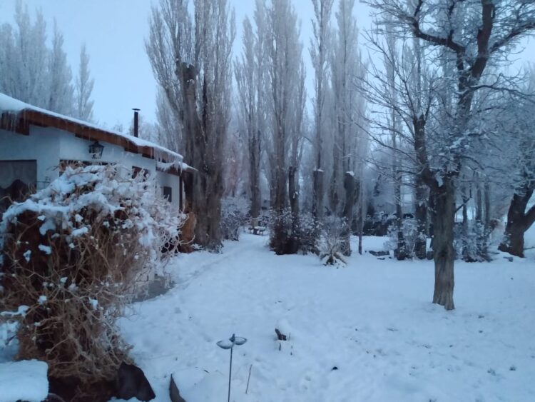 Antonio y María Victoria resisten en la Patagonia profunda: Cuando el turismo rural es el manotazo para no largar todo