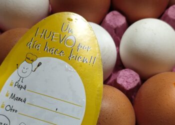 Los productores de huevos difunden diez razones saludables para apuntalar el consumo de ese alimento