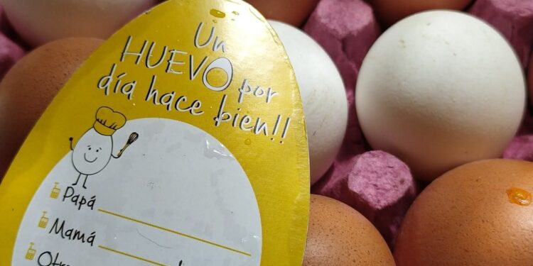 Los productores de huevos difunden diez razones saludables para apuntalar el consumo de ese alimento