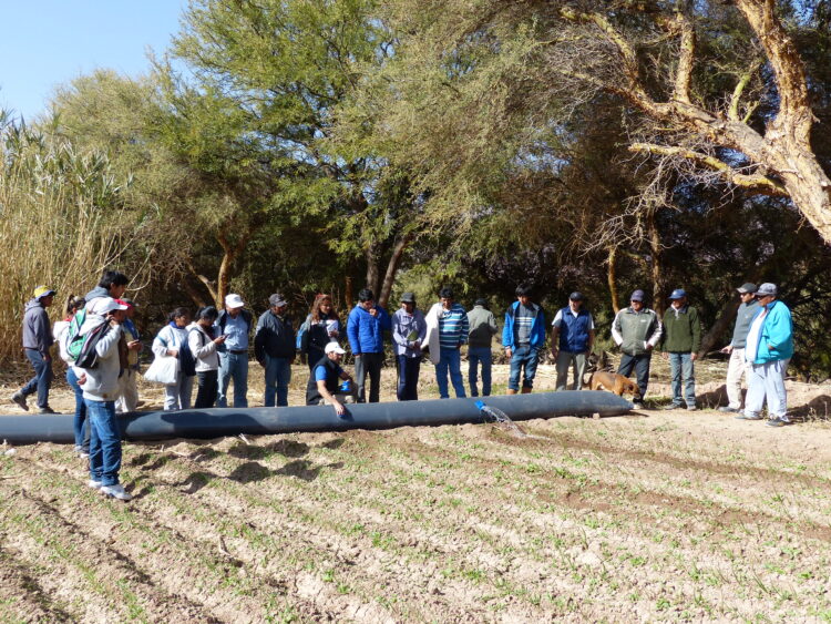 Viejos anhelos de “minga” y de trabajo comunitario se respiran en el Valle Calchaquí