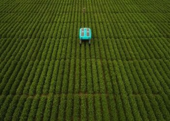 El futuro de la agricultura según Google: Un enjambre de robots monitoreando cada campo