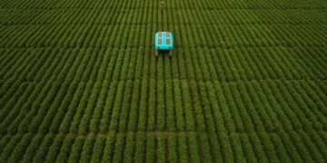 El futuro de la agricultura según Google: Un enjambre de robots monitoreando cada campo