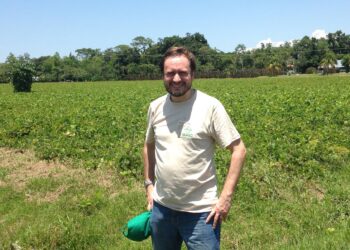 ¿De qué se quejan los productores en Chile? “Se requiere de mayor infraestructura de riego para hacer frente a una sequía estructural”, dice Francisco Contardo