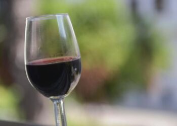 En el día del vino argentino, el gobierno brindó por el crecimiento de las ventas tanto para la exportación como al mercado interno