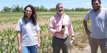 ¿Por qué se debería eliminar el barbecho químico? Dos especialistas del INTA Villegas describen paso a paso todos los beneficios y desafíos de los cultivos de cobertura
