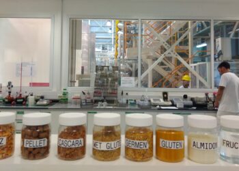 ¿Cómo hizo Arcor para lograr este año una ganancia de 4400 M/$ luego de las enormes pérdidas registradas en 2019?