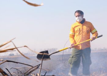 El Ministerio de Ambiente asegura que “con el desplazamiento de la ganadería el problema de los incendios en el Delta se agravó y se volvió masivo y recurrente”