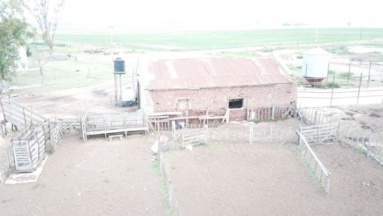 Productores que llevan la lechería en el corazón. “Cómo no voy a insistir, si gracias al tambo pudimos estudiar todos”, se emociona Carlos González