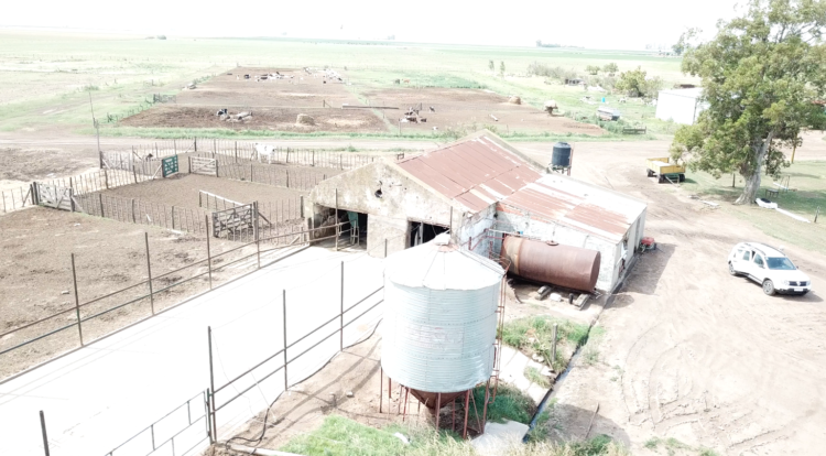 Productores que llevan la lechería en el corazón. “Cómo no voy a insistir, si gracias al tambo pudimos estudiar todos”, se emociona Carlos González
