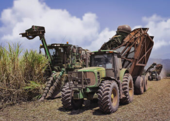 AgroEmpresas: Ledesma terminó la zafra, la industria aceitera con caída de rentabilidad y el Banco Nación avanza contra Vicentín