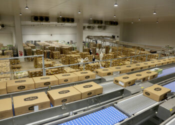 El impacto de la “segunda ola” de Covid-19 dejó en evidencia la precarización comercial de la industria frigorífica exportadora argentina