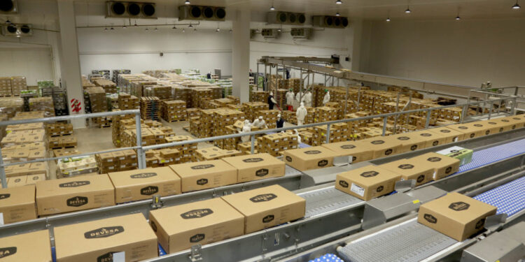 El impacto de la “segunda ola” de Covid-19 dejó en evidencia la precarización comercial de la industria frigorífica exportadora argentina