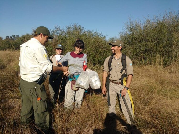 Ana Ibáñez Moro trabaja en la preservación de quebrachos y algarrobos: “Se encuentran expuestos a disturbios que han aumentado fuertemente su frecuencia”