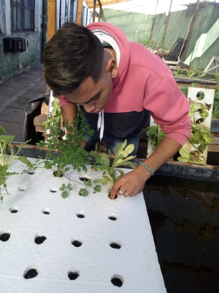 El correntino Daniel Aguilera difunde entre los chicos del conurbano la magia de la hidroponia, que permite obtener alimentos en poco espacio