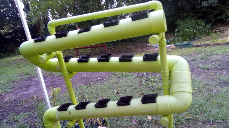 El correntino Daniel Aguilera difunde entre los chicos del conurbano la magia de la hidroponia, que permite obtener alimentos en poco espacio