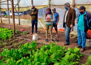 Estudian a quienes realmente necesitan una “reforma agraria”: En los conurbanos se pagan 6.324 pesos por hectárea y 84% de la verdura se vende “a culata”