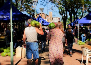 Una experiencia del productor al consumidor en Misiones: Cómo vender 600 sandías en un ratito