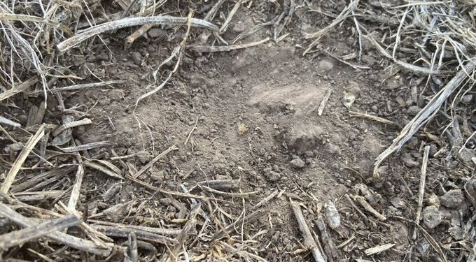 El Servicio Meteorológico Nacional alertó que la proyección del escenario de restricciones hídricas se mantiene hasta febrero