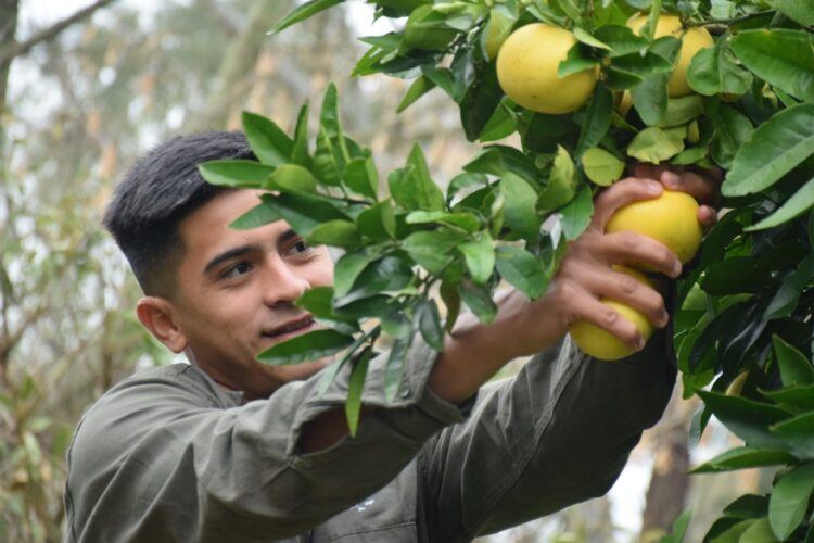 “De ser enterradores de basura, aprendimos a ser productores agroecológicos”, dice Mario Barrios, que lidera un proyecto cooperativo para recuperar la costa de Villa Domínico