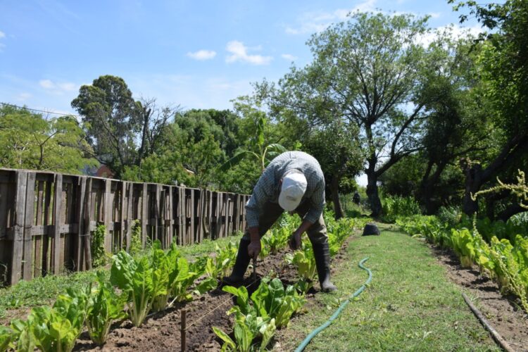 “De ser enterradores de basura, aprendimos a ser productores agroecológicos”, dice Mario Barrios, que lidera un proyecto cooperativo para recuperar la costa de Villa Domínico