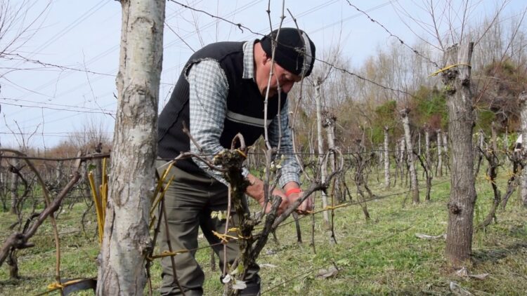 “De ser enterradores de basura, aprendimos a ser productores agroecológicos”, dice Mario Barrios, que lidera un proyecto cooperativo para recuperar la costa de Villa Domínico