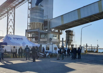 La historia sin fin: Recibidores de granos y aceiteros protagonizan un nuevo paro nacional