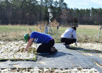 En pandemia, un grupo de científicos trata de responder a las preguntas más curiosas de los chicos: Todavía deben sumar un agrónomo