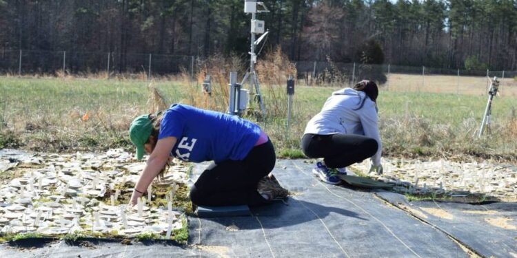 En pandemia, un grupo de científicos trata de responder a las preguntas más curiosas de los chicos: Todavía deben sumar un agrónomo