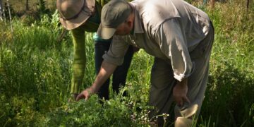 Tierra Viva: Los movimientos de pequeños productores y campesinos ya tienen su propia agencia de noticias