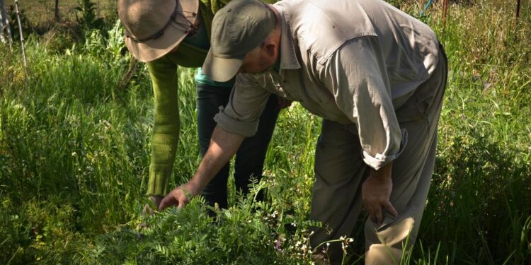Tierra Viva: Los movimientos de pequeños productores y campesinos ya tienen su propia agencia de noticias