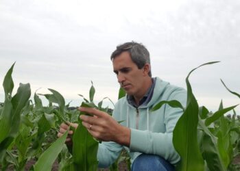 Esteban Bilbao: “No me parece coherente hablar de los seres humanos versus la naturaleza”