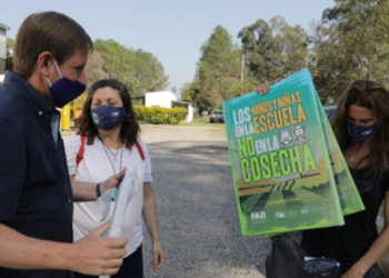 “Queremos ser un sector libre de trabajo infantil”, dicen los productores de arándanos, que pusieron a prueba un protocolo para fiscalizar y erradicarlo