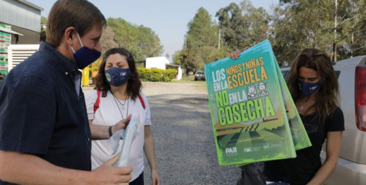 “Queremos ser un sector libre de trabajo infantil”, dicen los productores de arándanos, que pusieron a prueba un protocolo para fiscalizar y erradicarlo