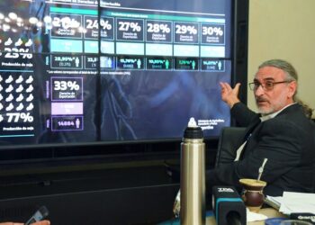 Con la devolución de retenciones, Basterra ofreció la mejor prueba de que los productores chicos no retuvieron su soja