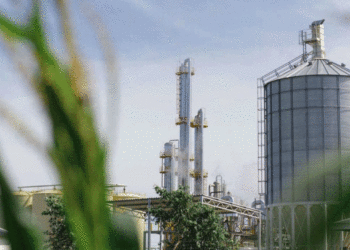 La producción actual de biodiésel está en los mismos niveles de cuando arrancamos a producirlo, allá lejos por 2008