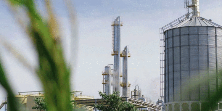 La producción actual de biodiésel está en los mismos niveles de cuando arrancamos a producirlo, allá lejos por 2008