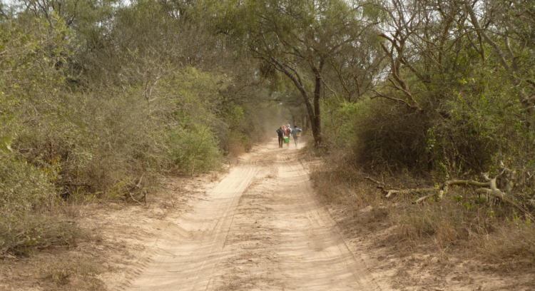 Ana Ibáñez Moro trabaja en la preservación de quebrachos y algarrobos: “Se encuentran expuestos a disturbios que han aumentado fuertemente su frecuencia”