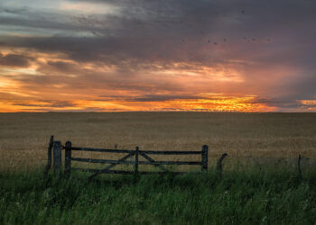 Jorge Giacobbe es lapidario con la estrategia comunicacional del agro: “Lo que piensan los jóvenes del campo es peor que lo que piensa el resto de la sociedad”