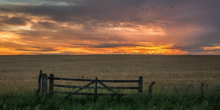 Jorge Giacobbe es lapidario con la estrategia comunicacional del agro: “Lo que piensan los jóvenes del campo es peor que lo que piensa el resto de la sociedad”
