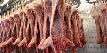 Los cerdos vuelan: Suben faena, producción, precios y las exportaciones un 71% interanual
