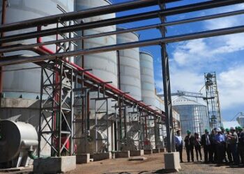 La puntana Diaser, pionera en la producción de biocombustibles, anunció el cierre de sus dos plantas