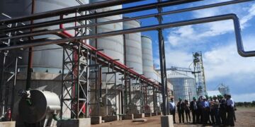 La puntana Diaser, pionera en la producción de biocombustibles, anunció el cierre de sus dos plantas
