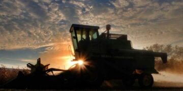 Cómo seguirá el clima: “Será una campaña difícil y habrá que hacer mucha agronomía en un contexto de escasez de humedad”, dice Germán Heinzenknecht