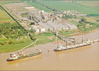 Con el ingreso a Dreyfus, una de las cinco grandes cerealeras globales, los árabes empiezan a tallar en el comercio de granos