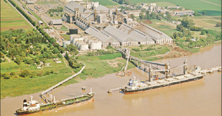 Con el ingreso a Dreyfus, una de las cinco grandes cerealeras globales, los árabes empiezan a tallar en el comercio de granos