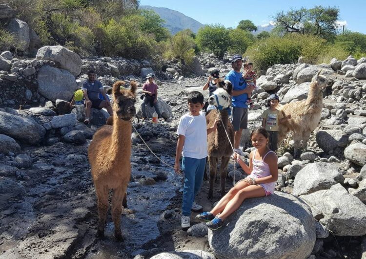 En Andalhuala, Catamarca, los Lagoria producen nueces y muestran bellos lugares a los turistas guiados por una llama